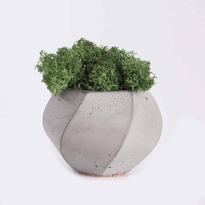 Store Piorro Quisquam